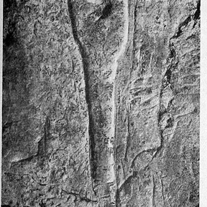 Photo de Terrains et grottes préhistoriques