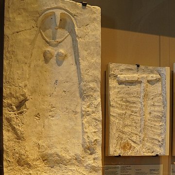 Terrains et grottes préhistoriques