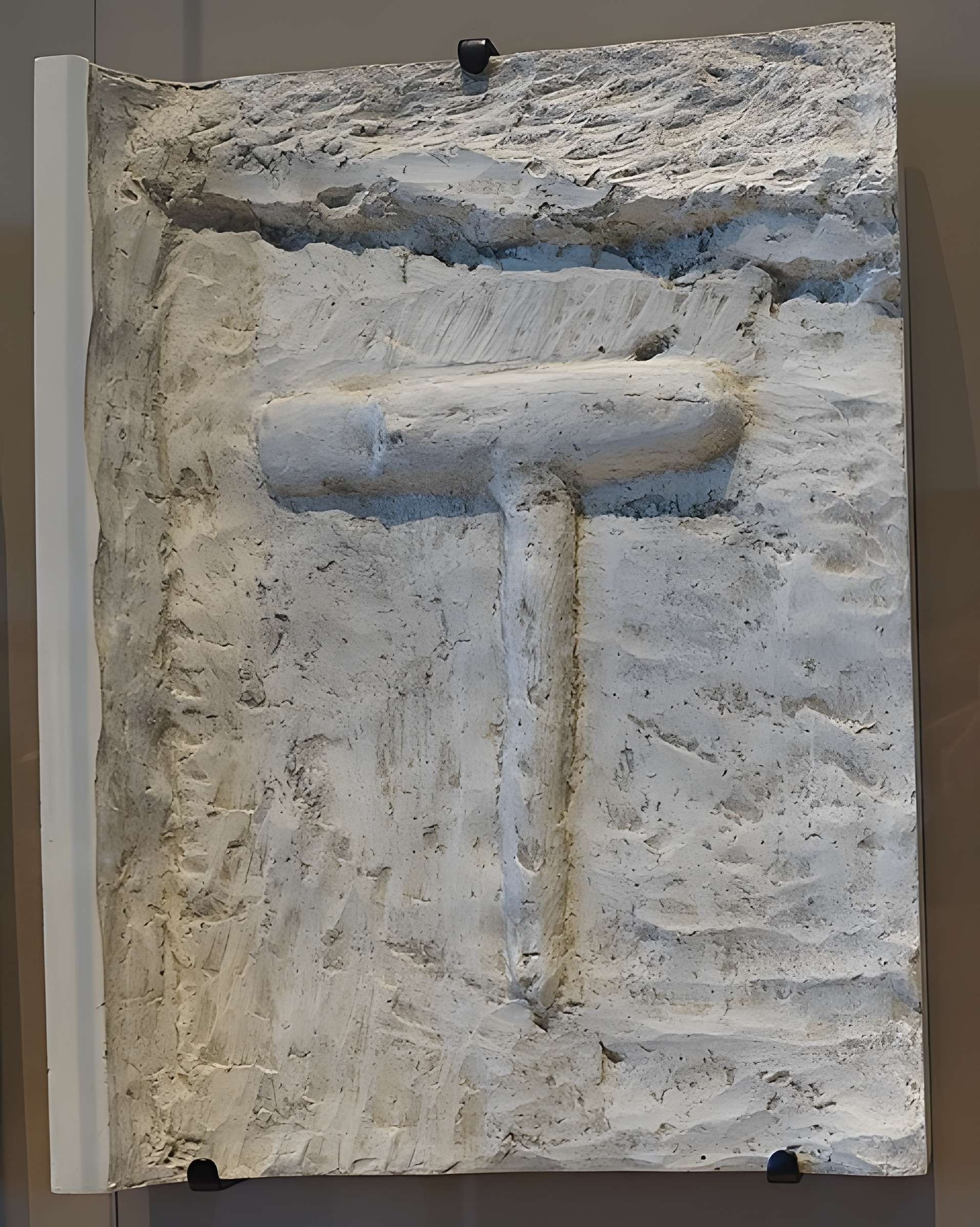 Terrains et grottes préhistoriques