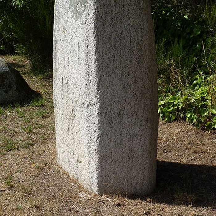 Photo de Groupe de cinq stèles gauloises de Saint-Agathon