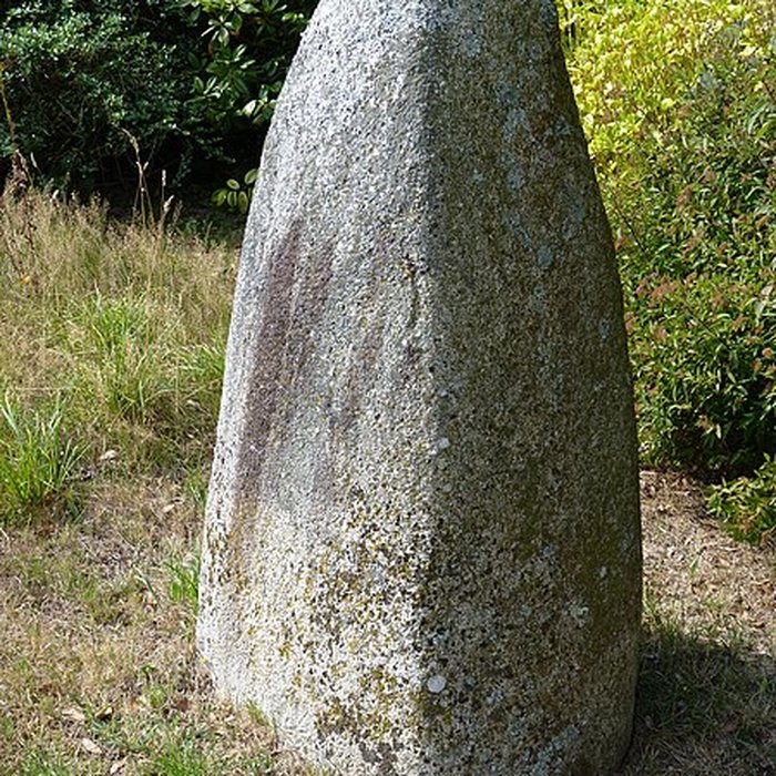 Photo de Groupe de cinq stèles gauloises de Saint-Agathon