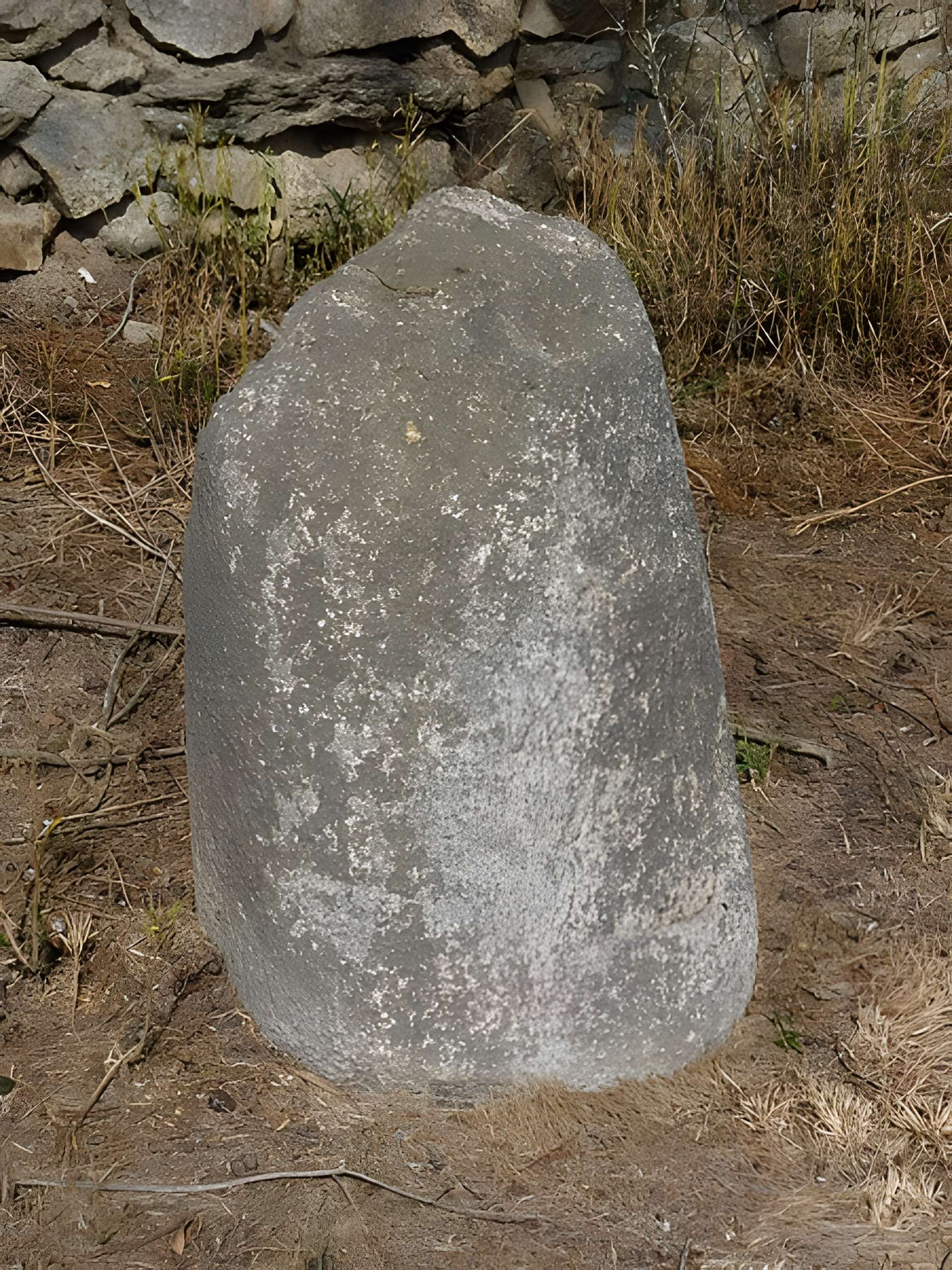 Groupe de cinq stèles gauloises de Saint-Agathon