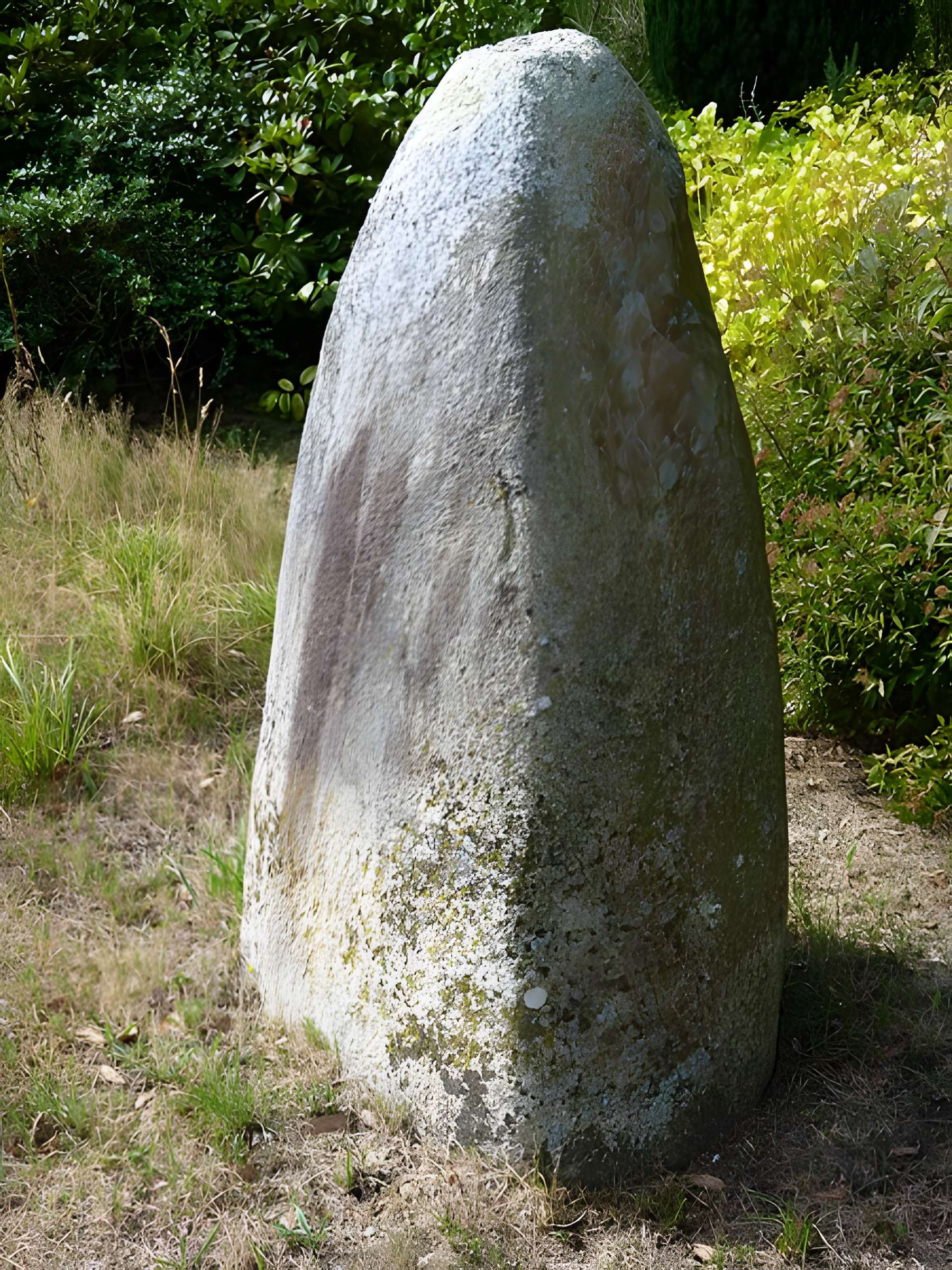 Groupe de cinq stèles gauloises de Saint-Agathon