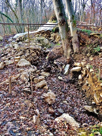 Photo de Habitat fortifié du Bois de la Miotte de Belfort