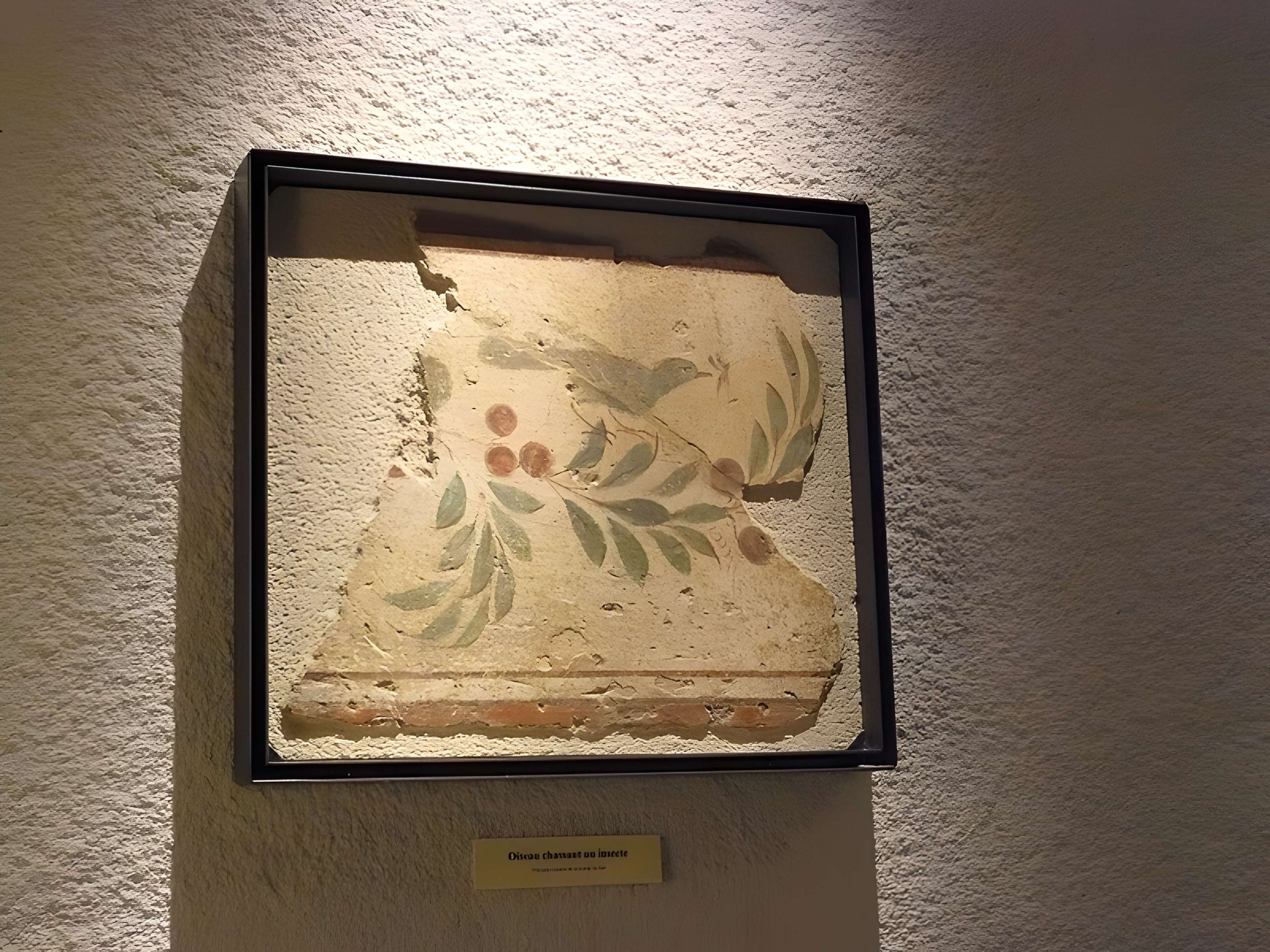 Habitat gallo-romain de la Grange du Bief à Anse