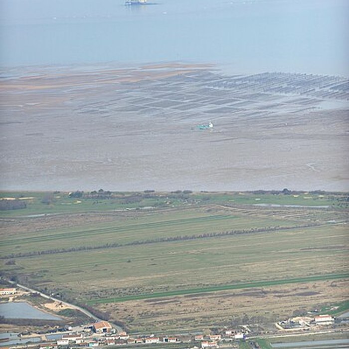 Photo de Fort Boyard