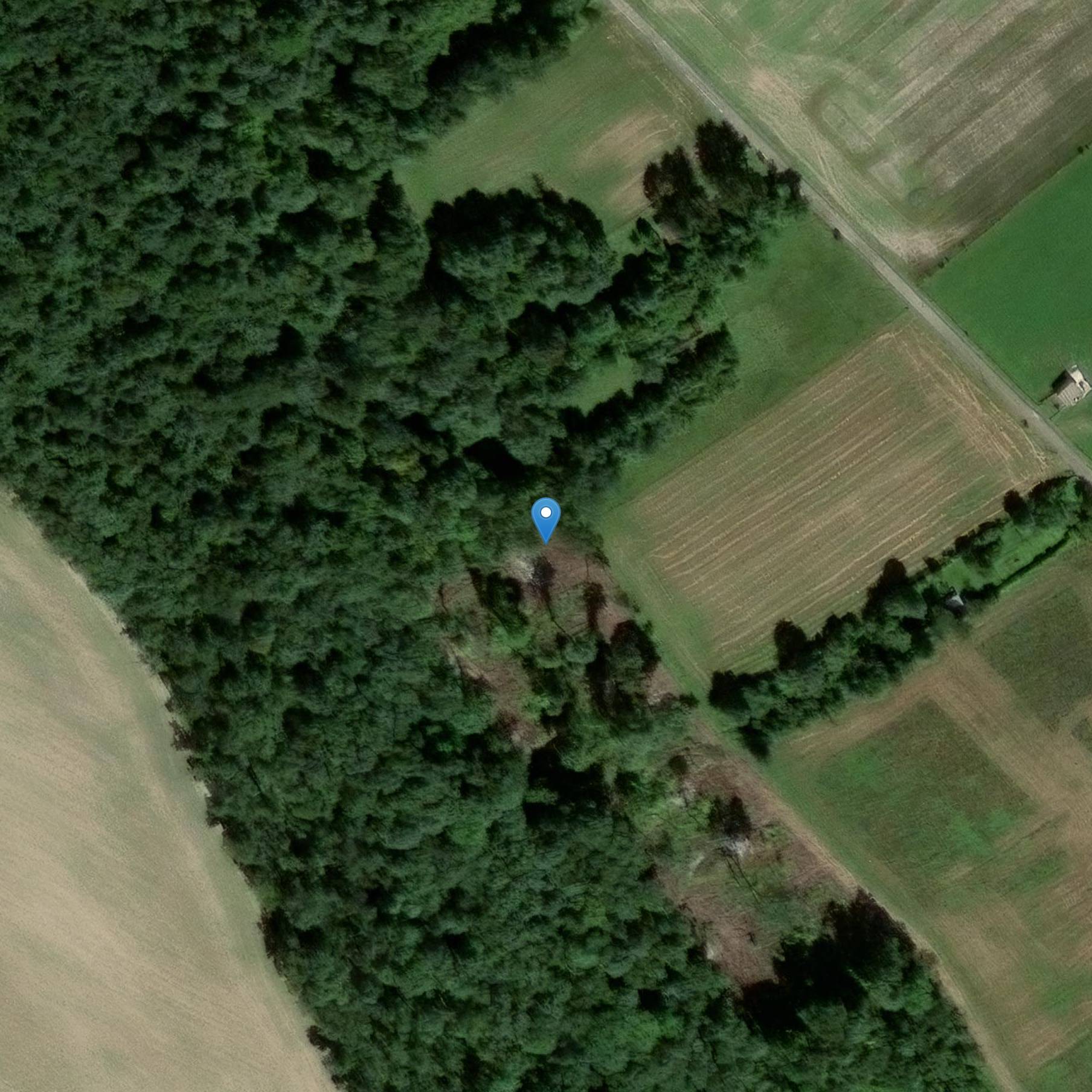 Photo de Halles de Joinville