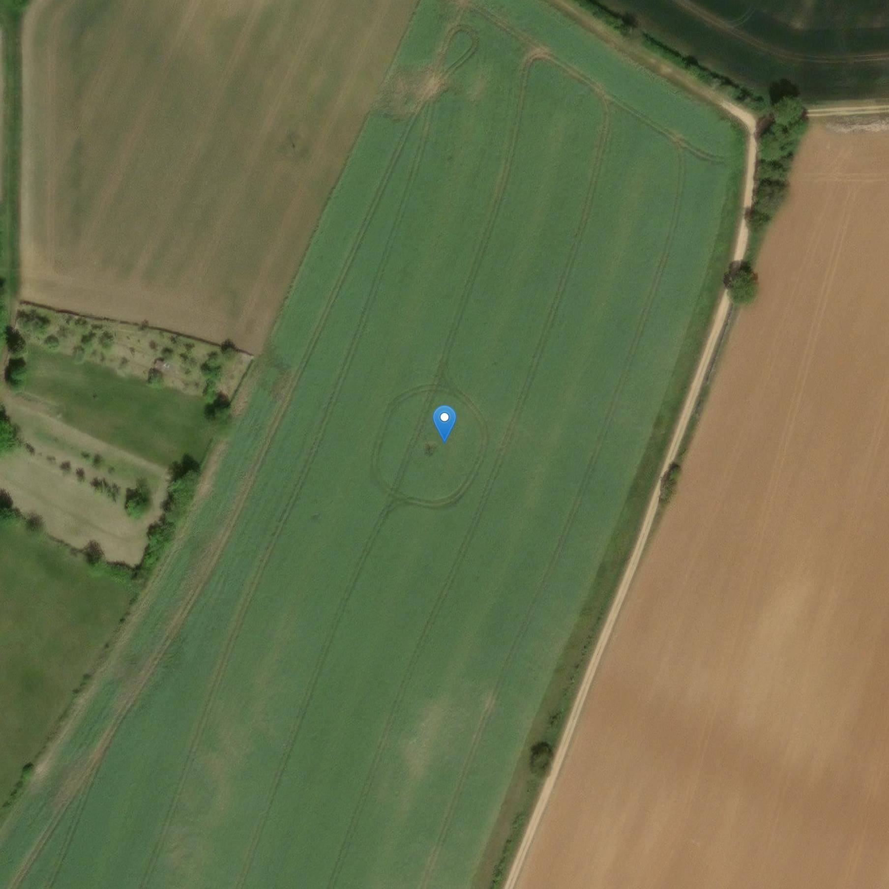 Photo de Halles de Montsaugeon