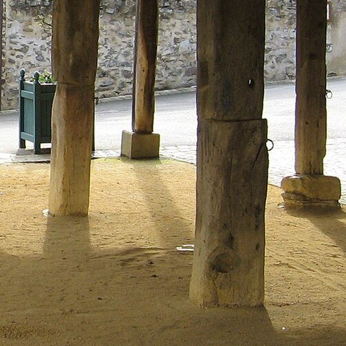 Photo de Halles de Saint-Denis-dAnjou