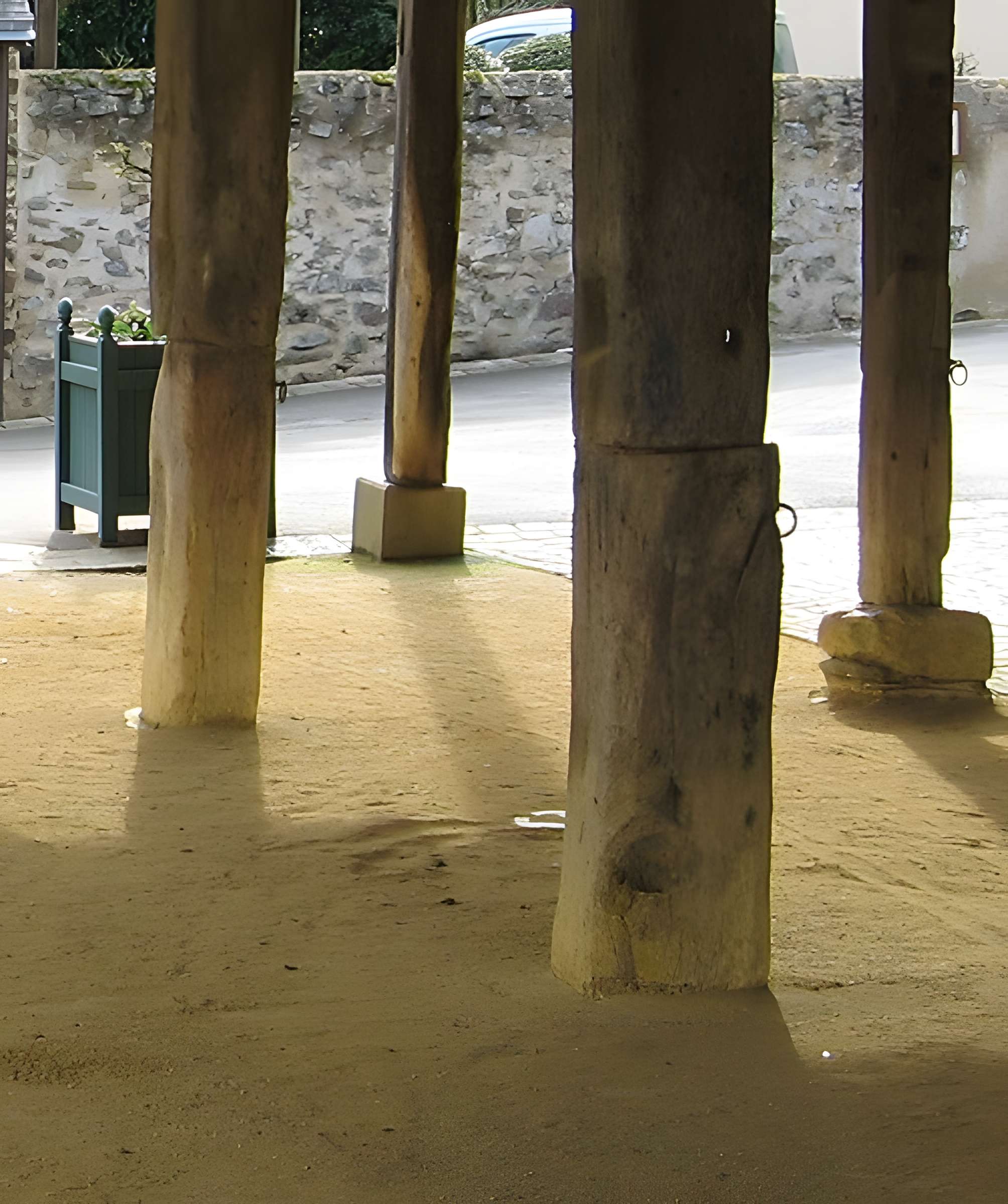 Halles de Saint-Denis-d'Anjou
