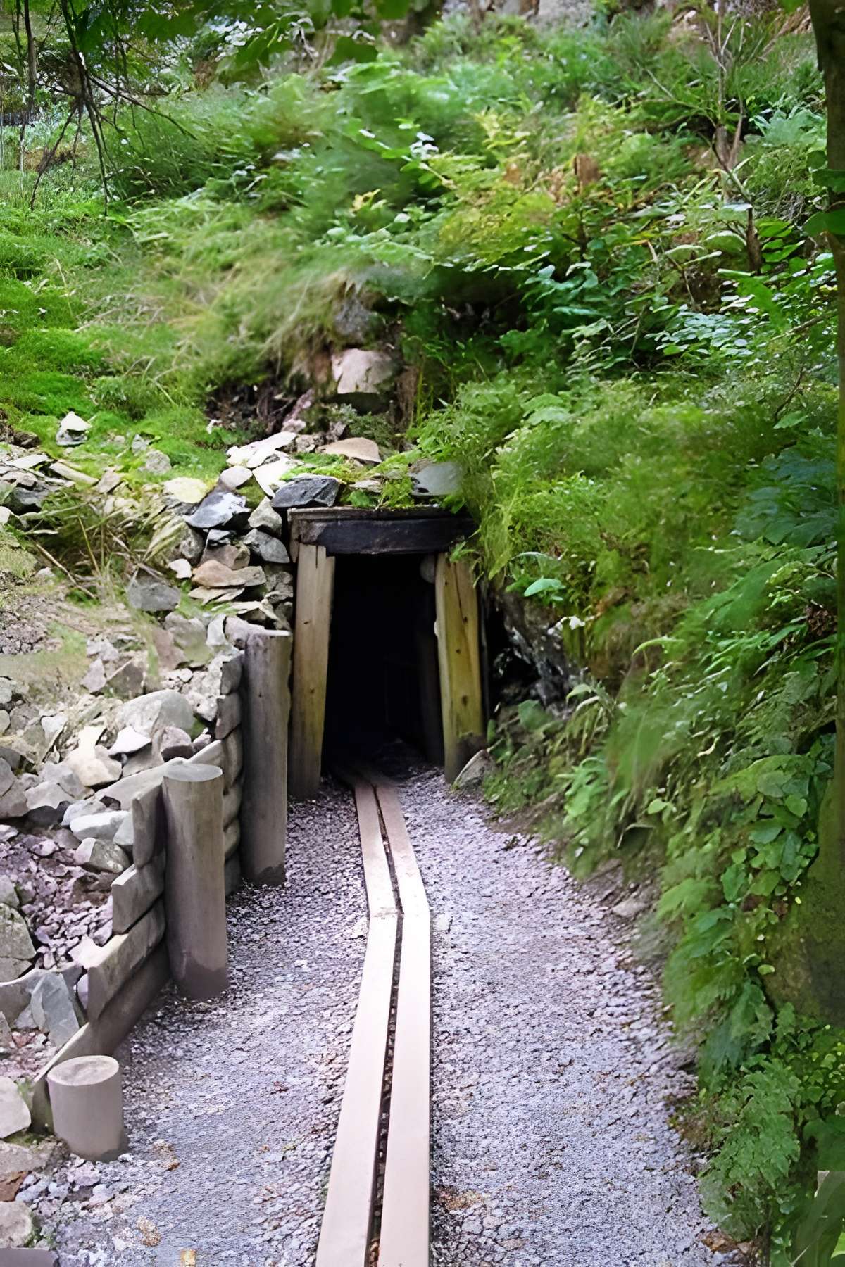 Hautes-Mynes du Thillot 