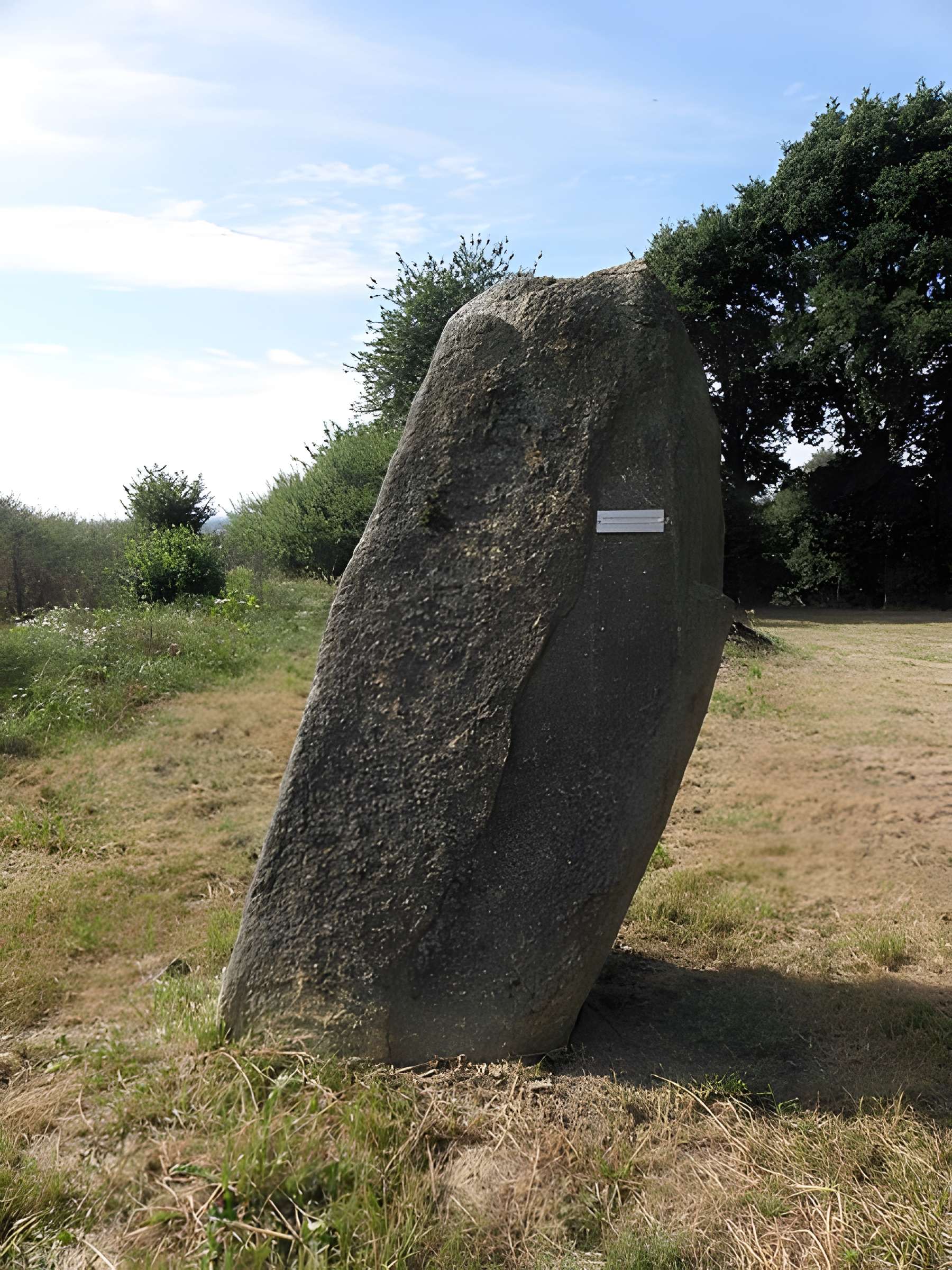 Hémicycle mégalithique des Tombes de Saint-Broladre