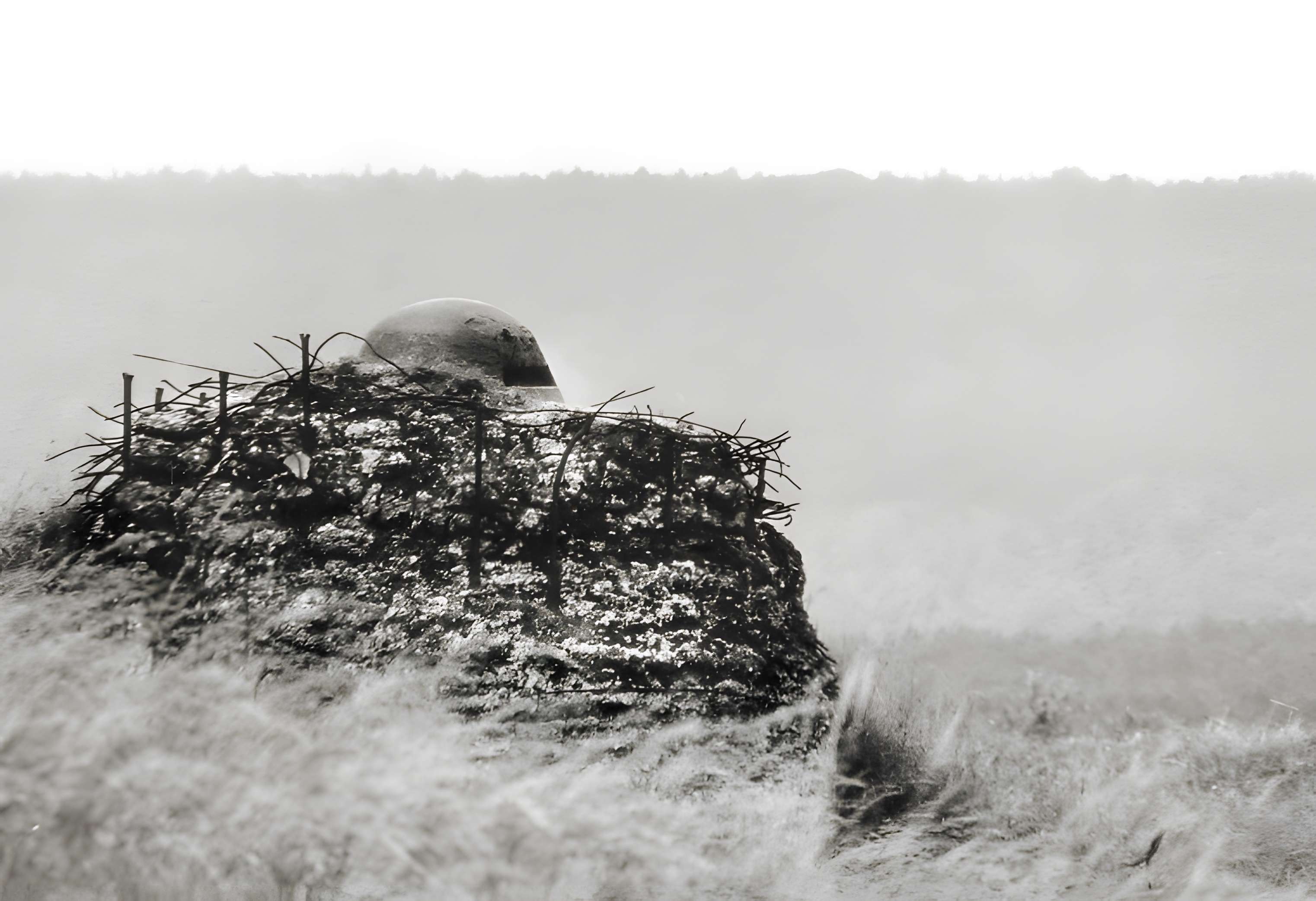 Fort de Douaumont