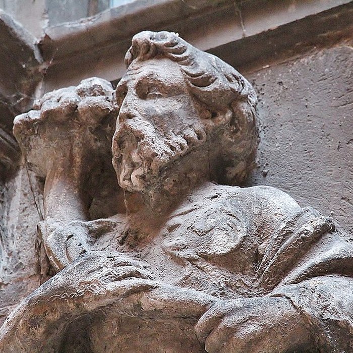 Photo de Hôtel de Brucelles à Toulouse