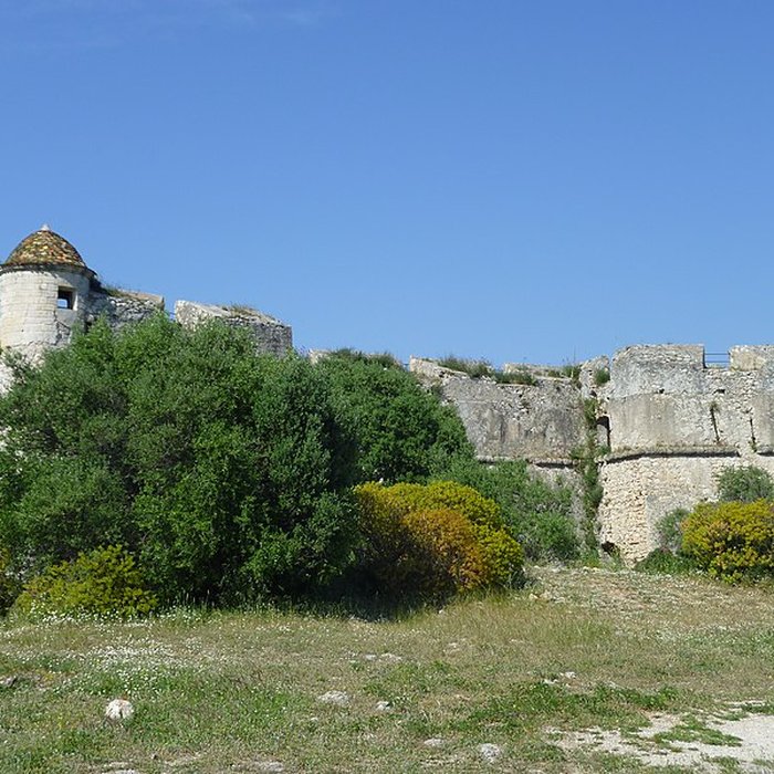 Photo de Fort du mont Alban