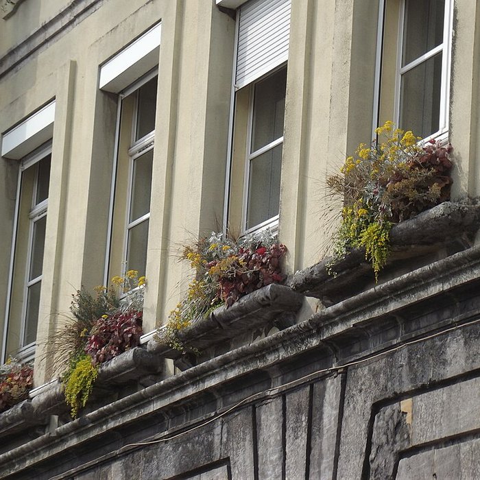 Photo de Hôtel de ville de Condé-sur-lEscaut