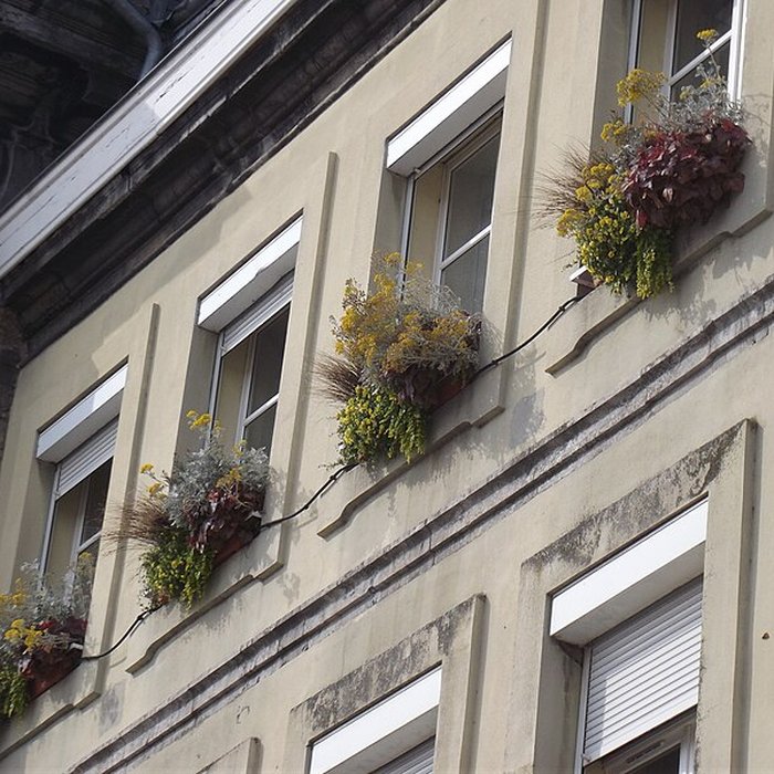 Photo de Hôtel de ville de Condé-sur-lEscaut