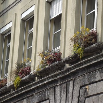 Hôtel de ville de Condé-sur-lEscaut
