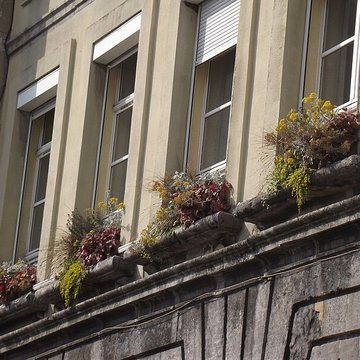 Hôtel de ville de Condé-sur-lEscaut