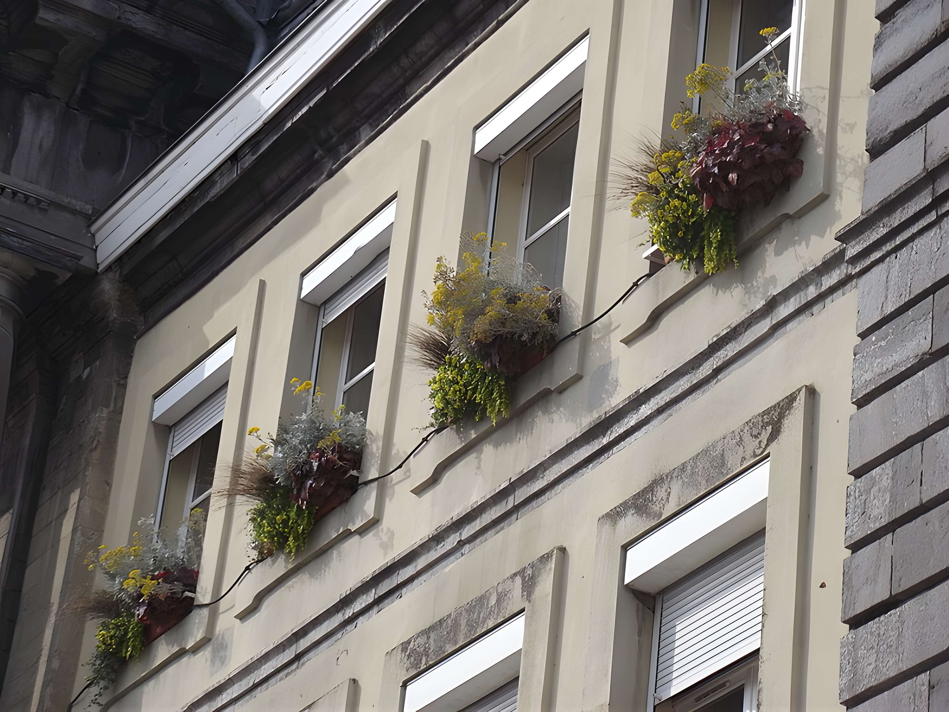 Hôtel de ville de Condé-sur-l'Escaut