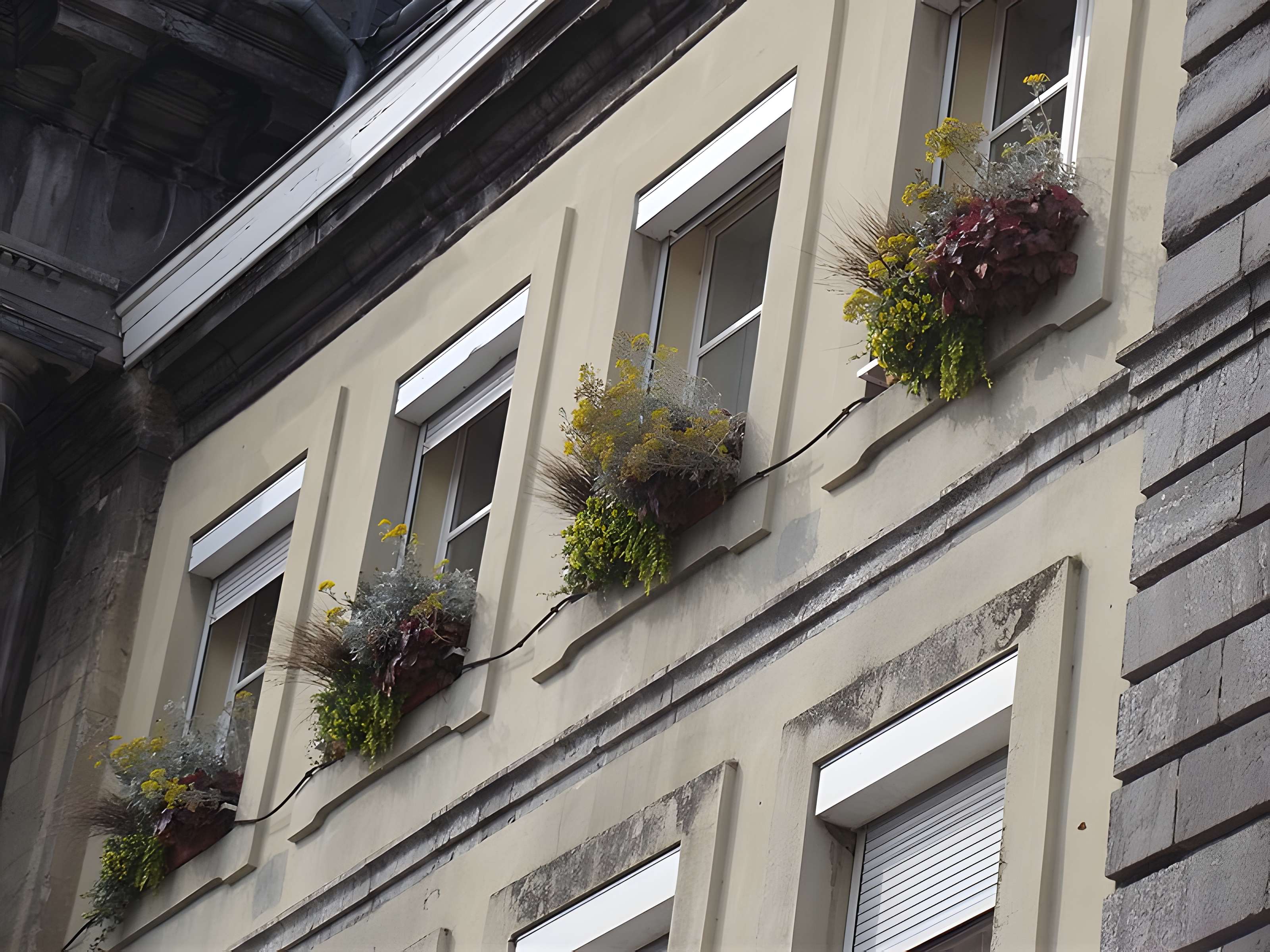 Hôtel de ville de Condé-sur-l'Escaut