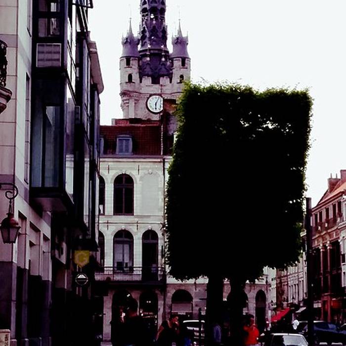 Photo de Hôtel de ville de Douai