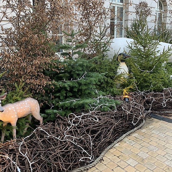 Photo de Hôtel de ville de Mâcon