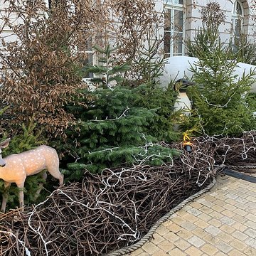 Hôtel de ville de Mâcon