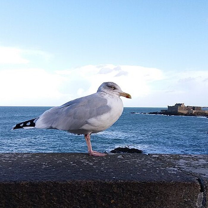 Photo de Fort du Petit Bé