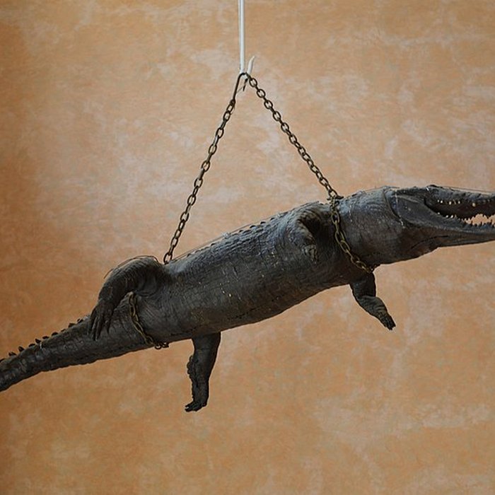 Photo de Hôtel de ville de Nîmes