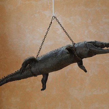 Hôtel de ville de Nîmes