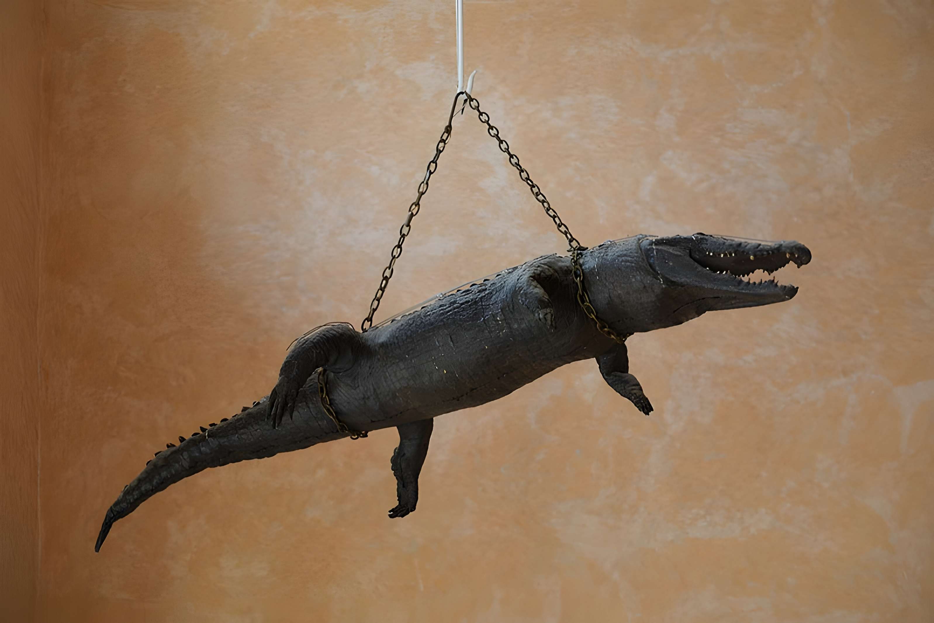 Hôtel de ville de Nîmes