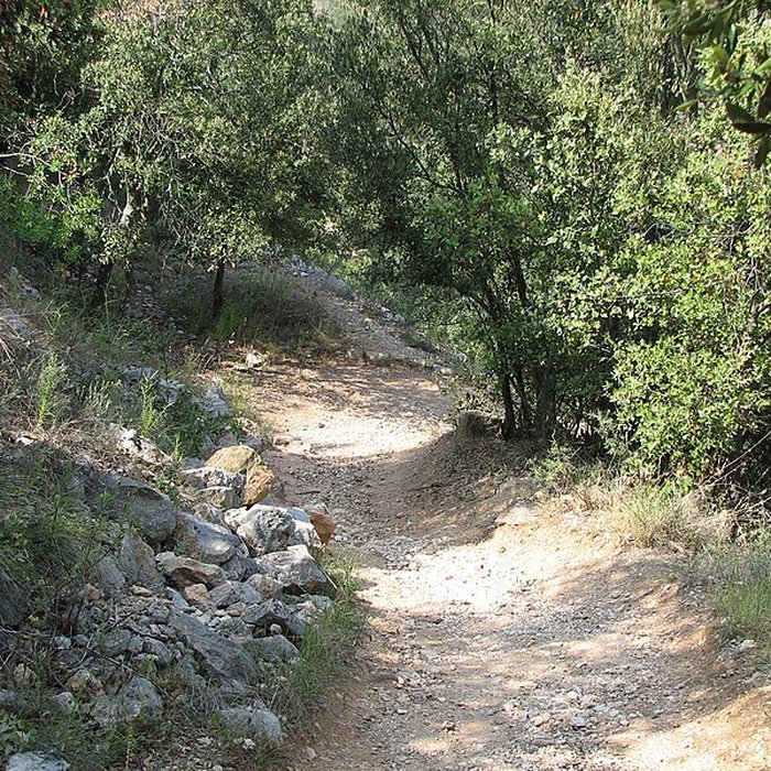 Photo de Fort Libéria