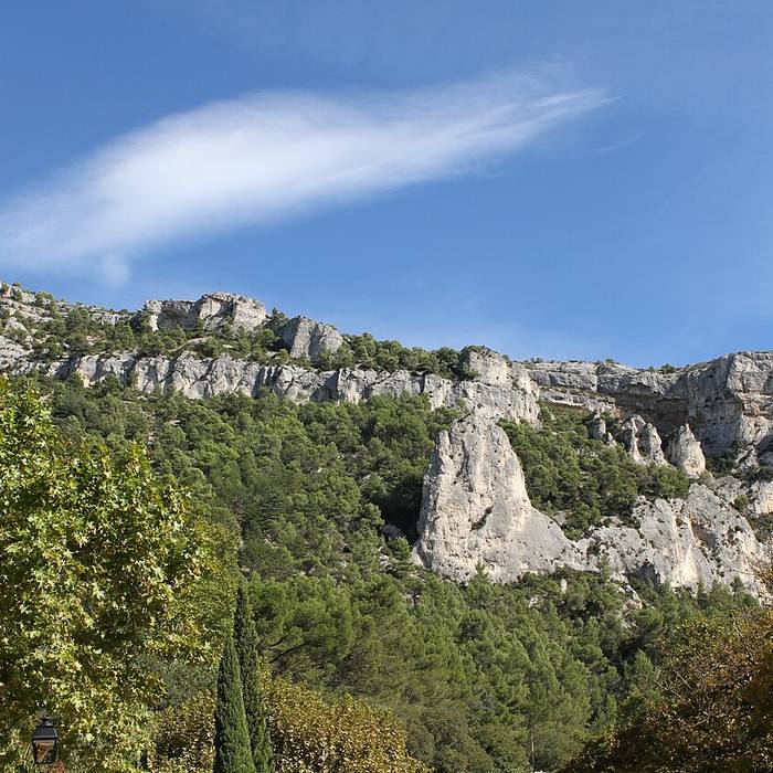 Photo de Hôtel de ville dAvignon