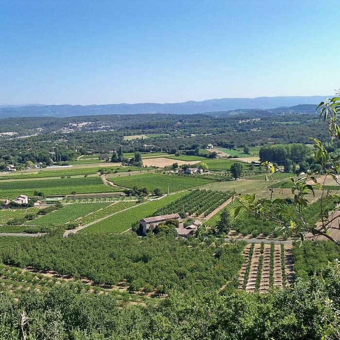 Photo de Hôtel de ville dAvignon