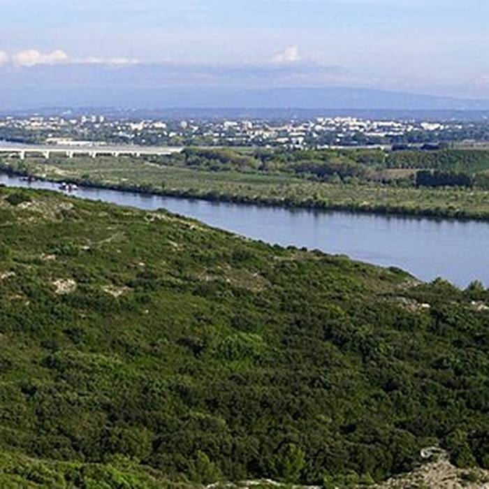 Photo de Hôtel de ville dAvignon