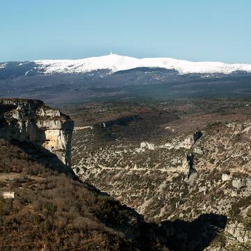 Hôtel de ville dAvignon