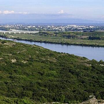 Hôtel de ville dAvignon