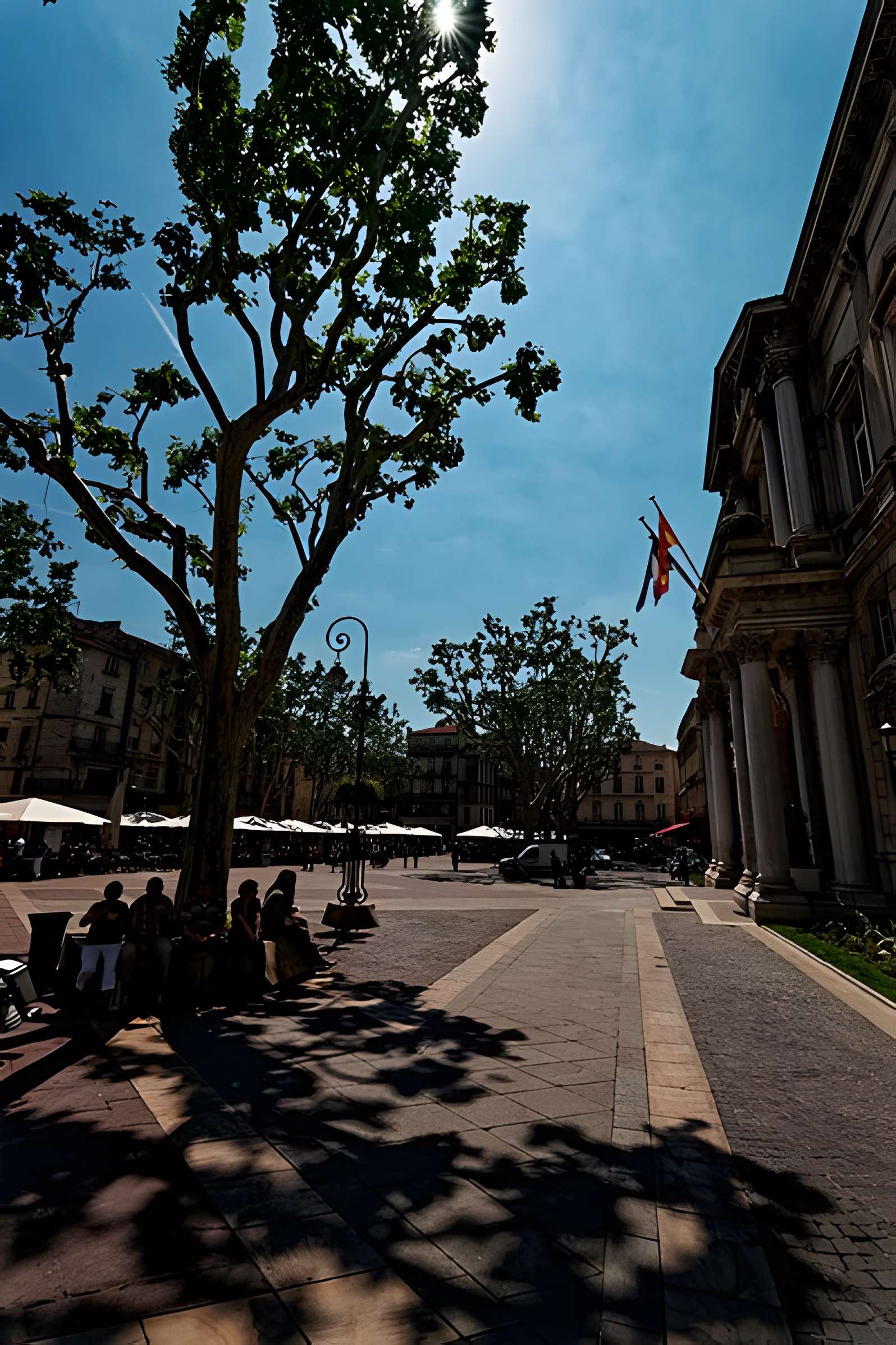 Hôtel de ville d'Avignon