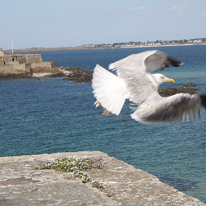 Photo de Fort National