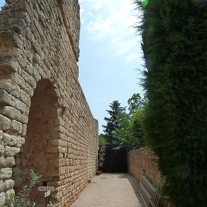 Photo de Abbaye Sainte-Marie de Fontcaude
