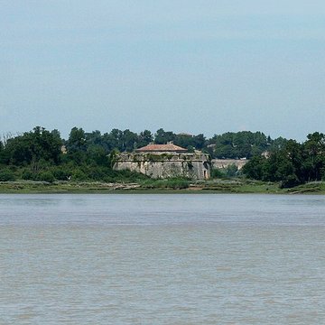 Fort Paté