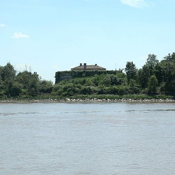 Fort Paté
