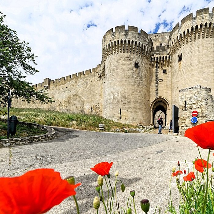 Photo de Fort Saint-André de Villeneuve-lès-Avignon