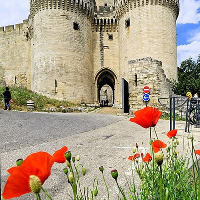 Photo de Fort Saint-André de Villeneuve-lès-Avignon