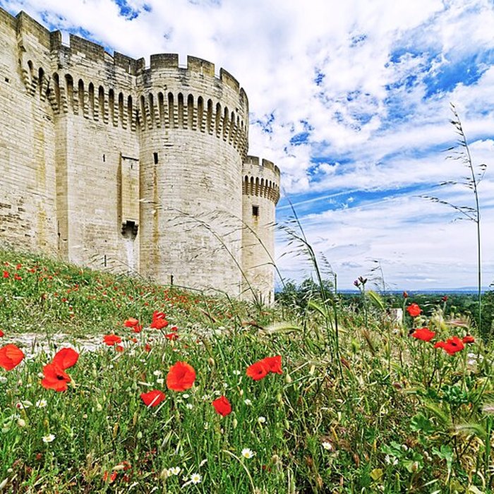 Photo de Fort Saint-André de Villeneuve-lès-Avignon