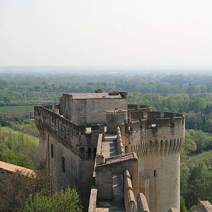 Photo de Fort Saint-André de Villeneuve-lès-Avignon