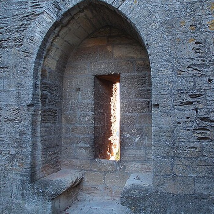 Photo de Fort Saint-André de Villeneuve-lès-Avignon