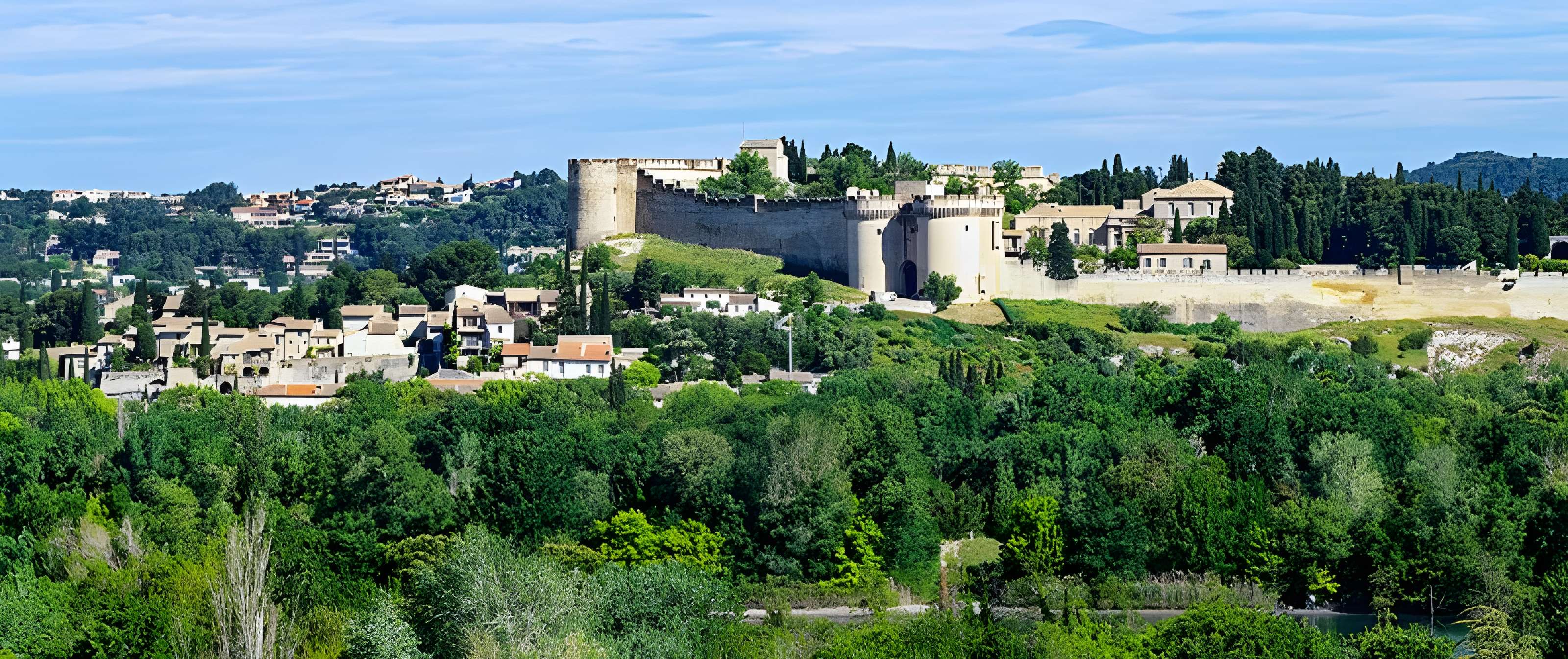 Fort Saint-André de Villeneuve-lès-Avignon