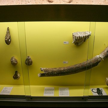 Hôtel Monluc à Agen